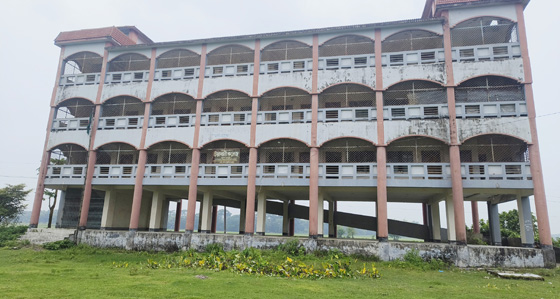 image-here